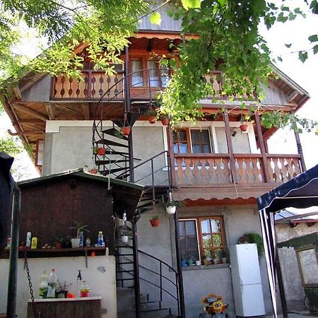 ホテル Casa Oana スリナ エクステリア 写真